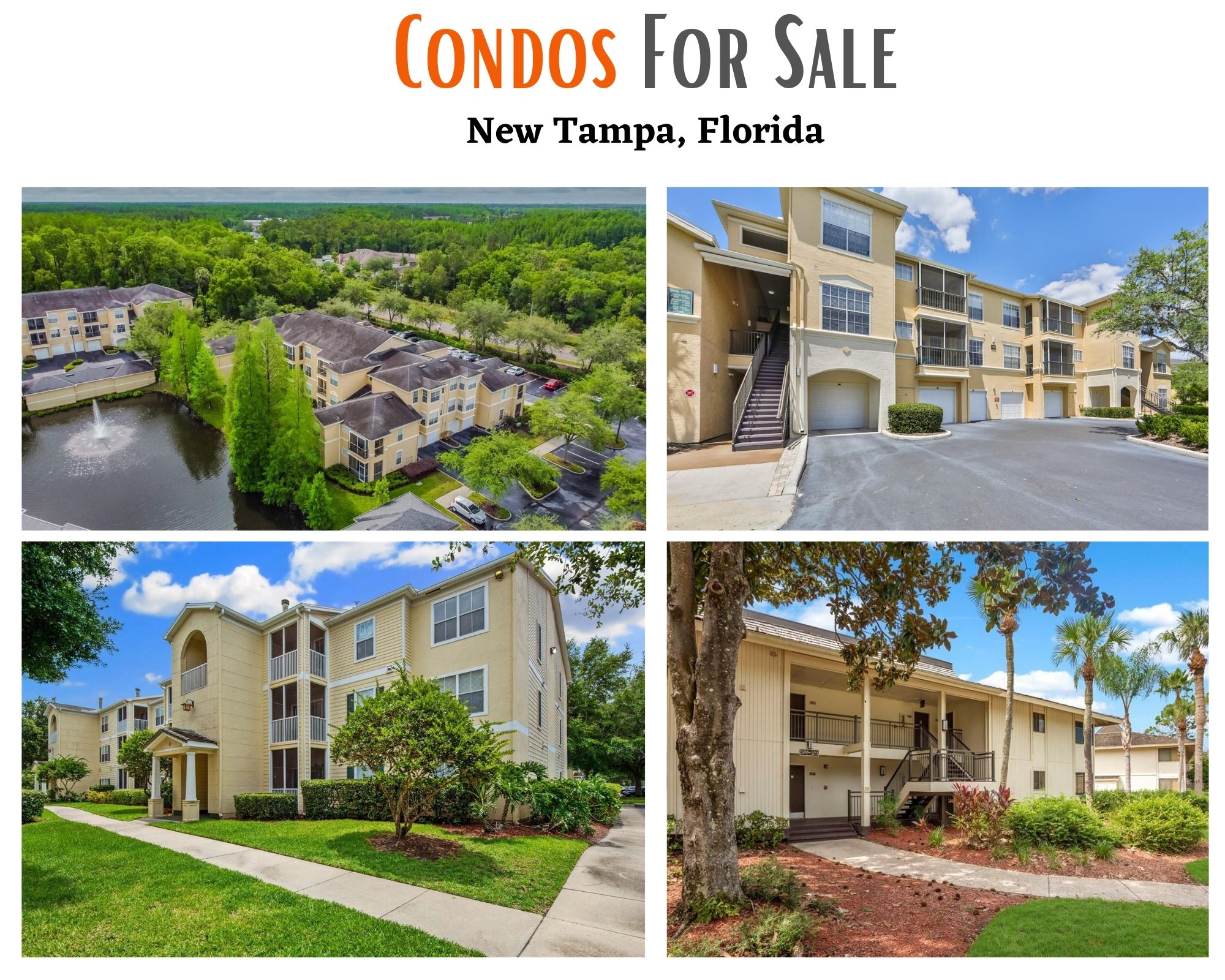 New Tampa Condos New Tampa Condominiums For Sale