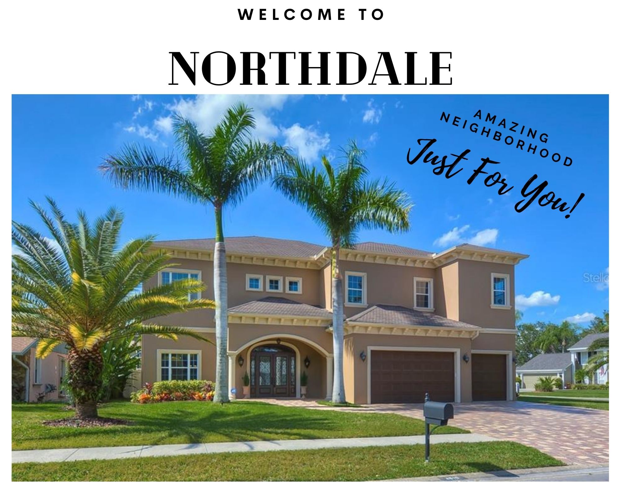 Northdale Neighborhood Real Estate Northdale FL Homes For Sale