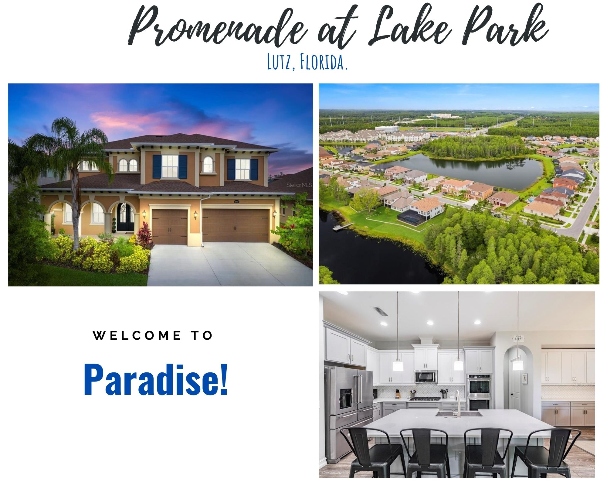 Promenade at Lake Park Lutz FL Homes For Sale