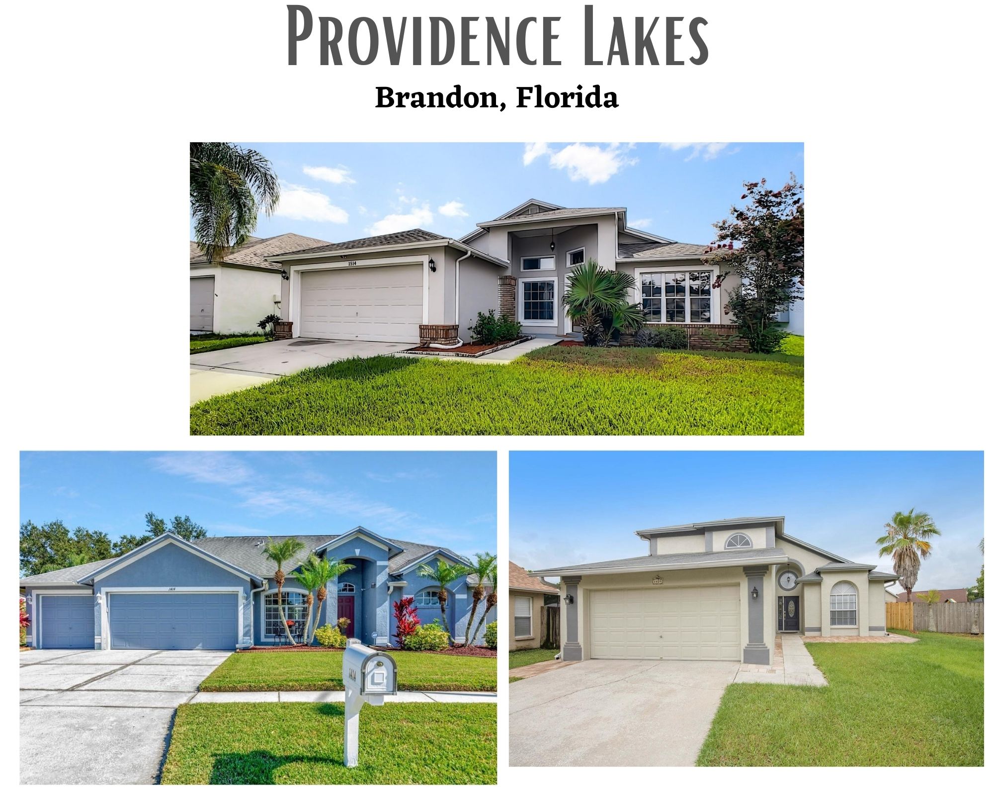 Providence Lakes Brandon Florida Homes For Sale