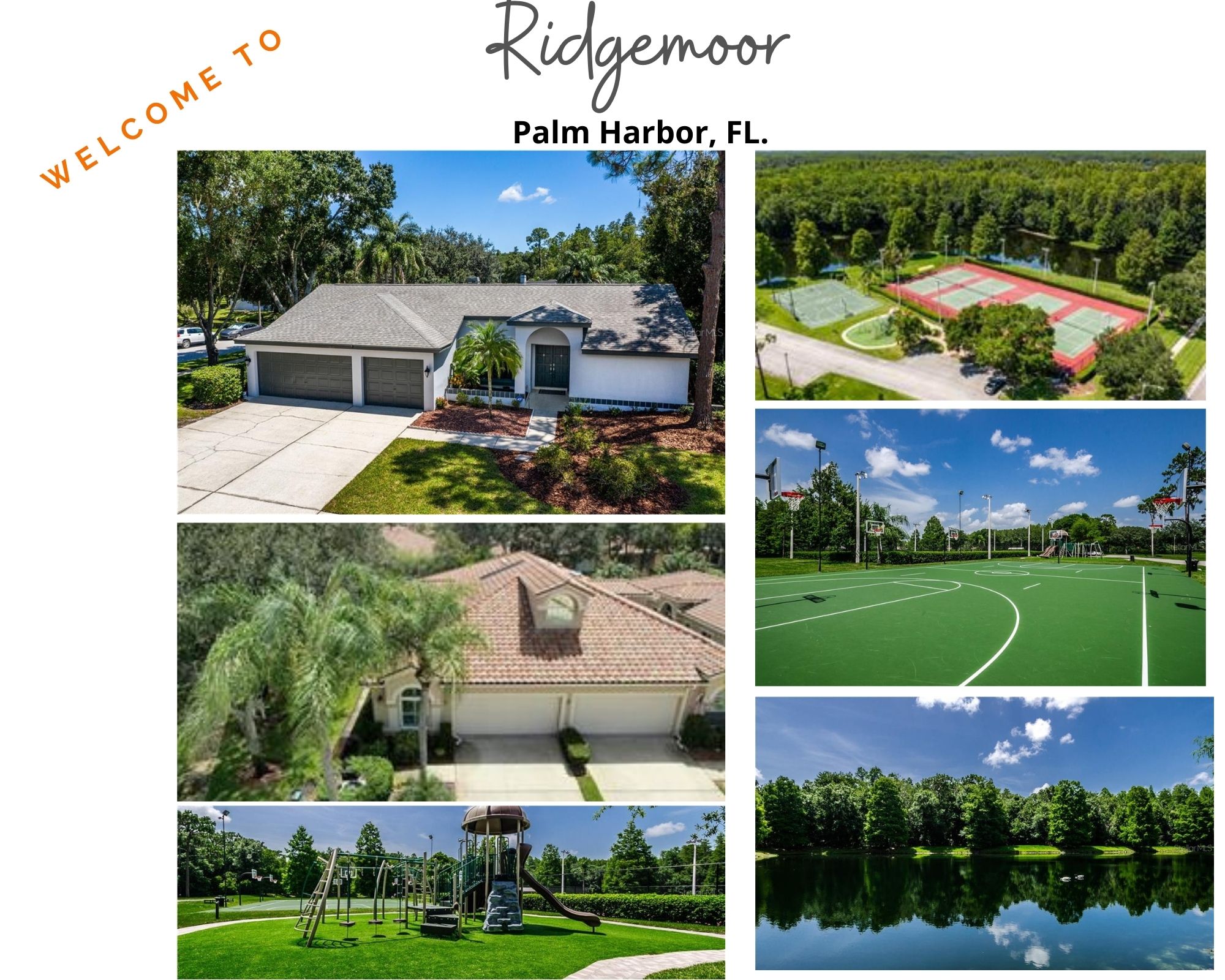 Ridgemoor Palm Harbor Florida Homes For Sale