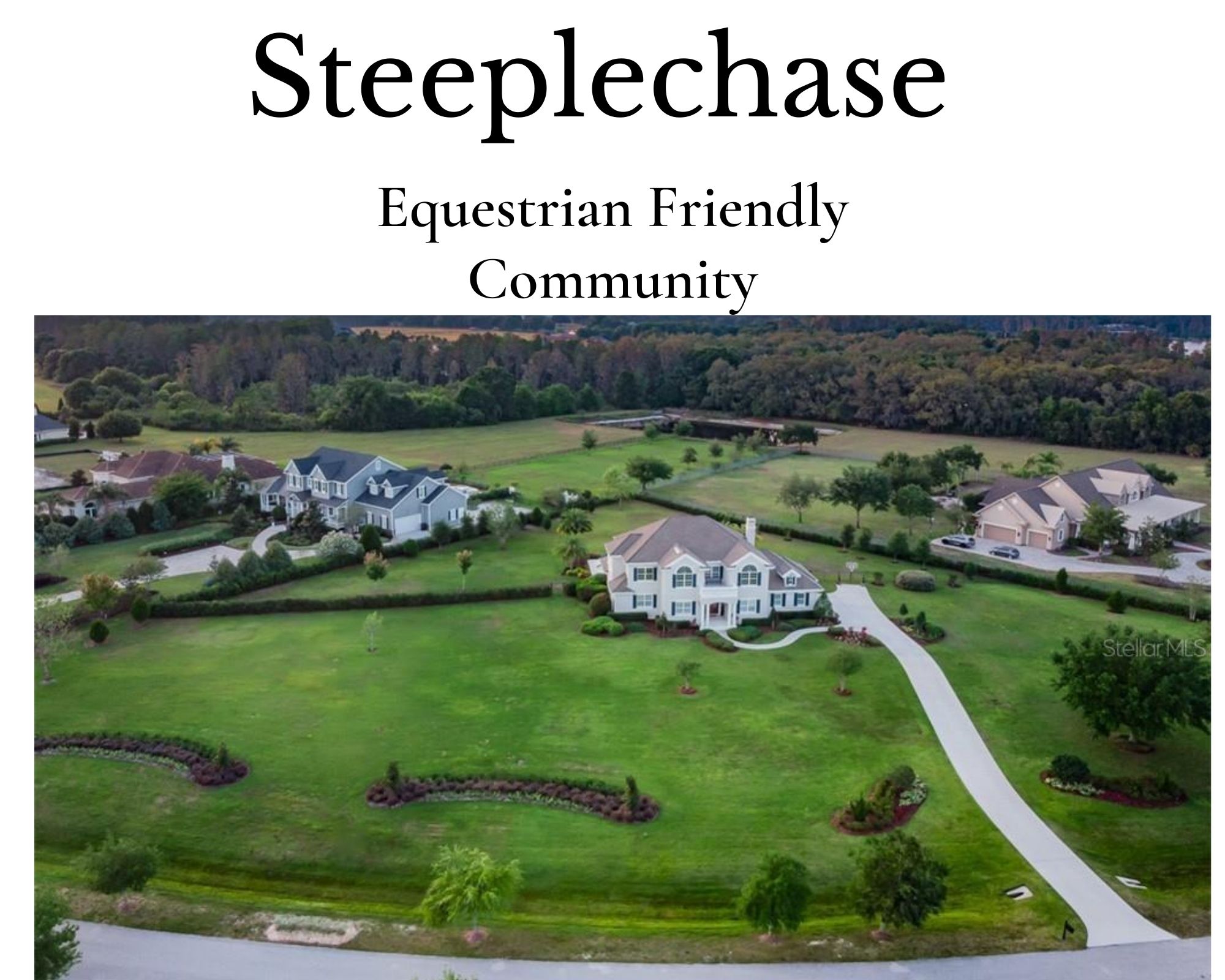 Steeplechase Odessa FL Real Estate Steeplechase Homes for Sale