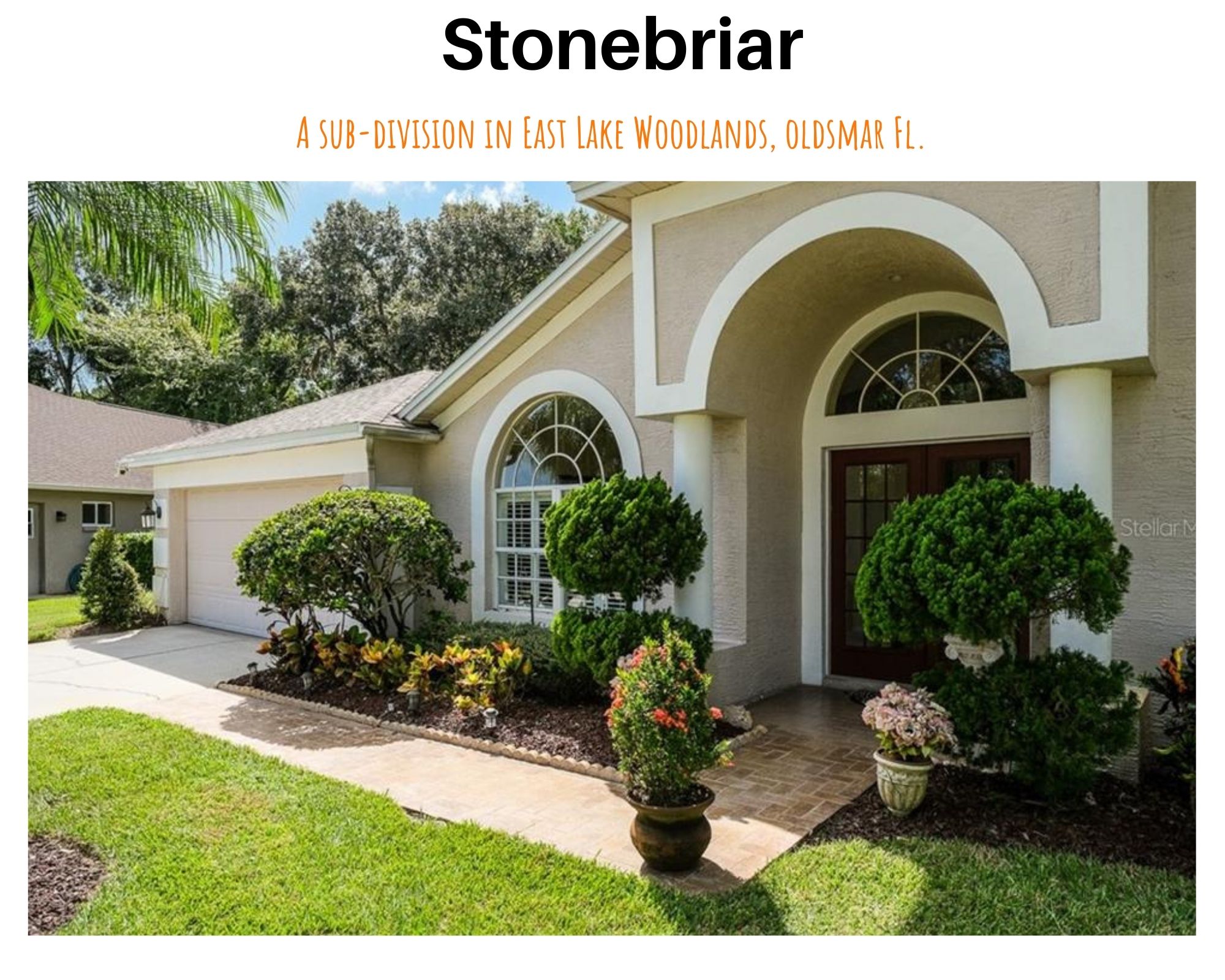 Stonebriar East Lake Woodlands Homes For Sale Oldsmar FL Real Estate