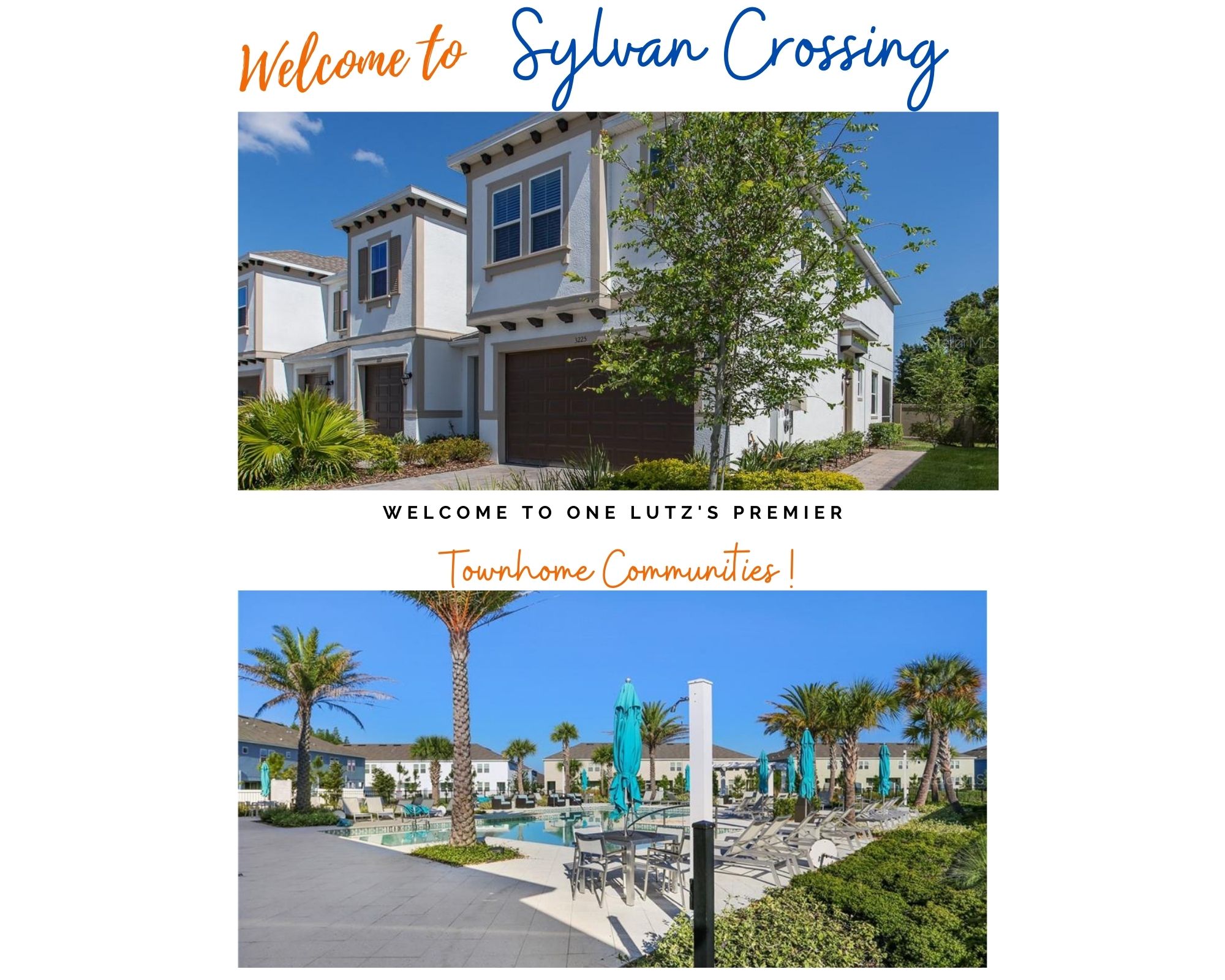 Sylvan Crossing Lutz FL Real Estate Sylvan Crossing Homes for Sale