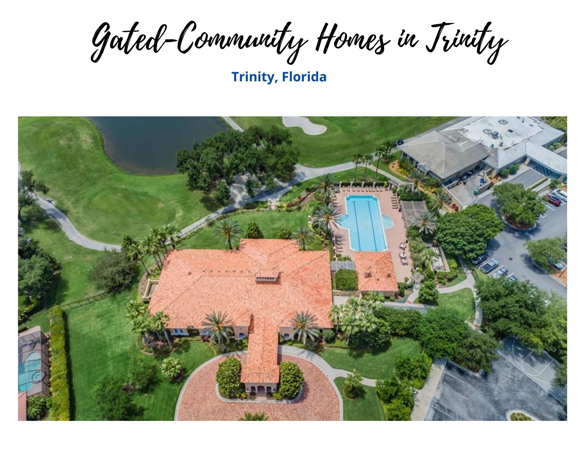 Trinity FL Homes in Gated Communities Trinity Florida Real Estate