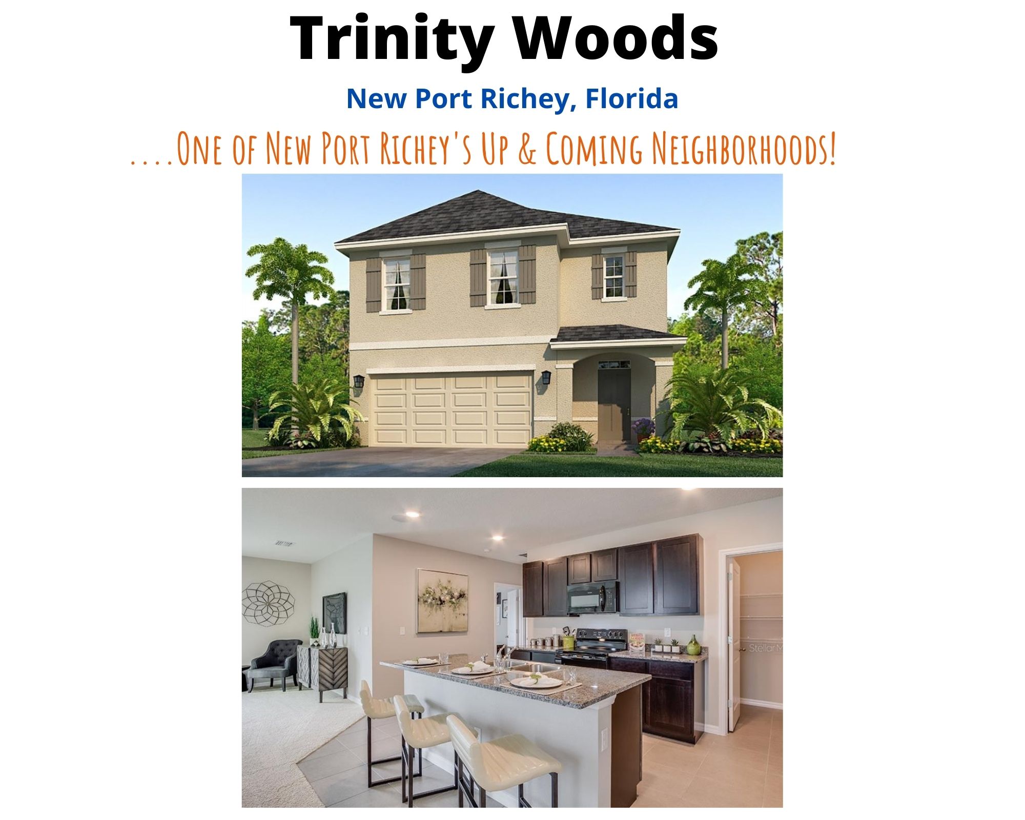 Trinity Woods New Port Richey FL Real Estate Homes for Sale