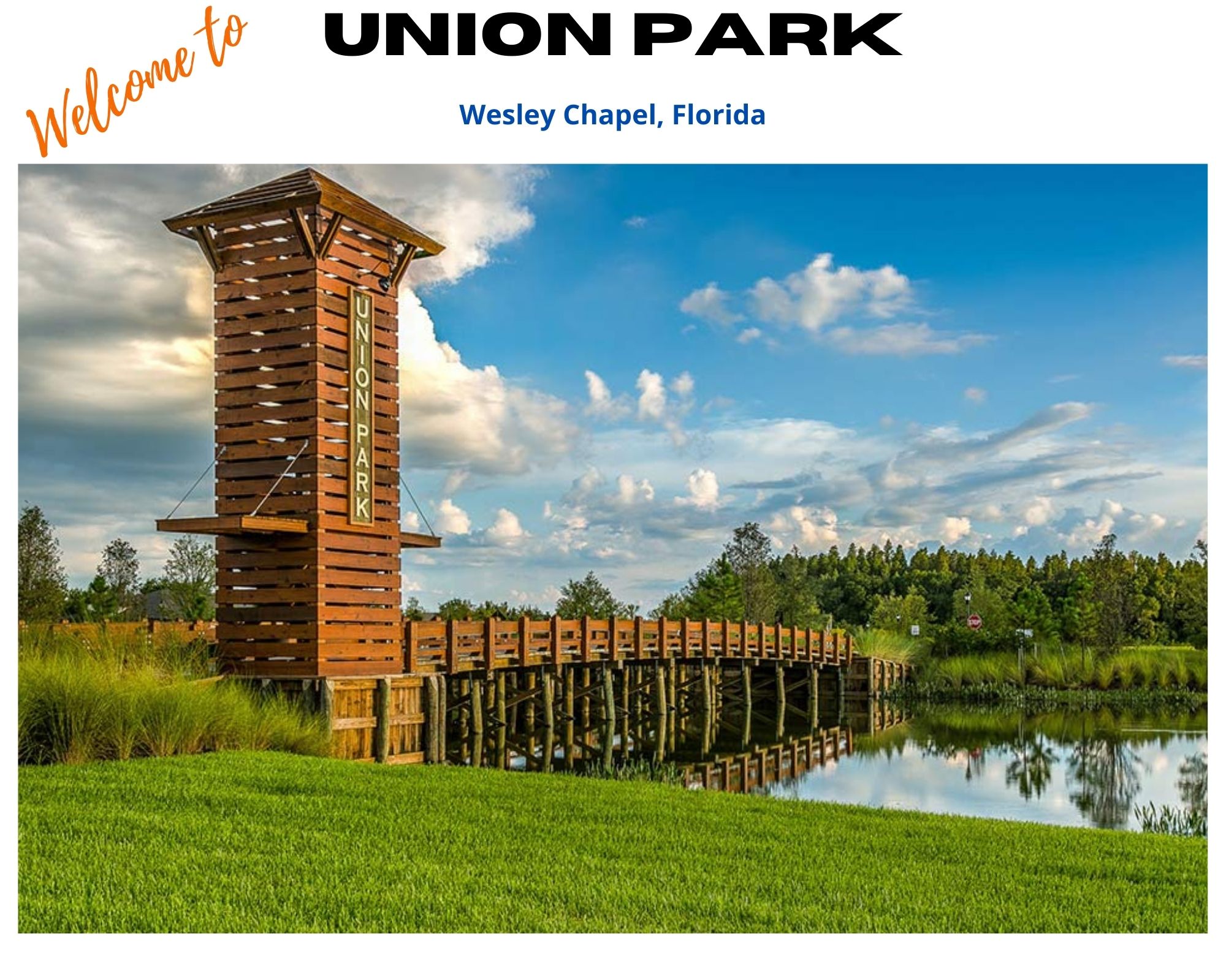 Union Park Wesley Chapel Real Estate Union Park Homes for Sale