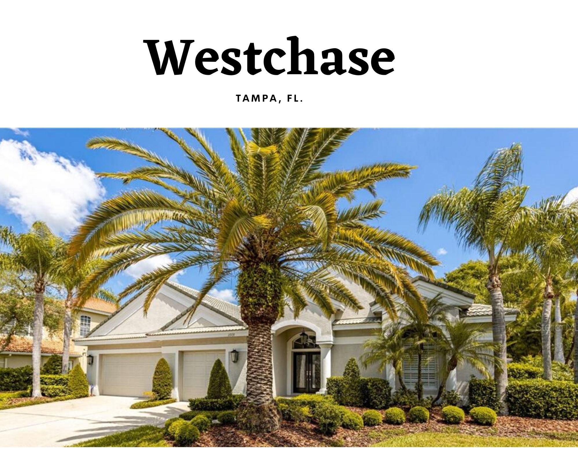 Westchase Tampa Florida Real Estate Homes and Townhomes for Sale in