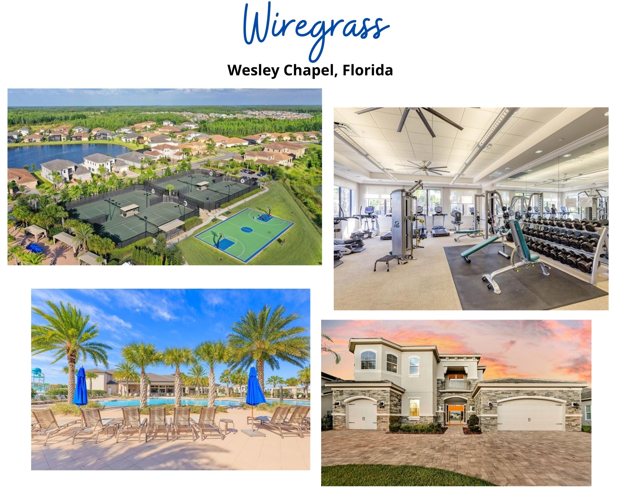 Wiregrass Wesley Chapel FL Wiregrass Wesley Chapel FL Homes for Sale