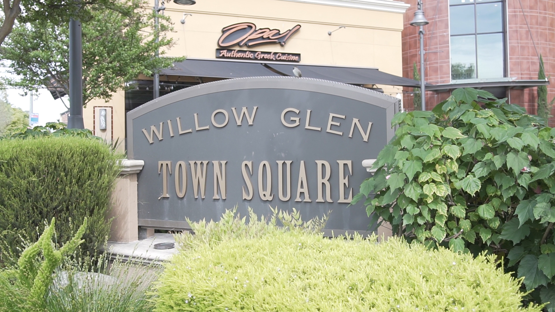 Willow Glen San Jose Real Estate Willow Glen Homes for Sale