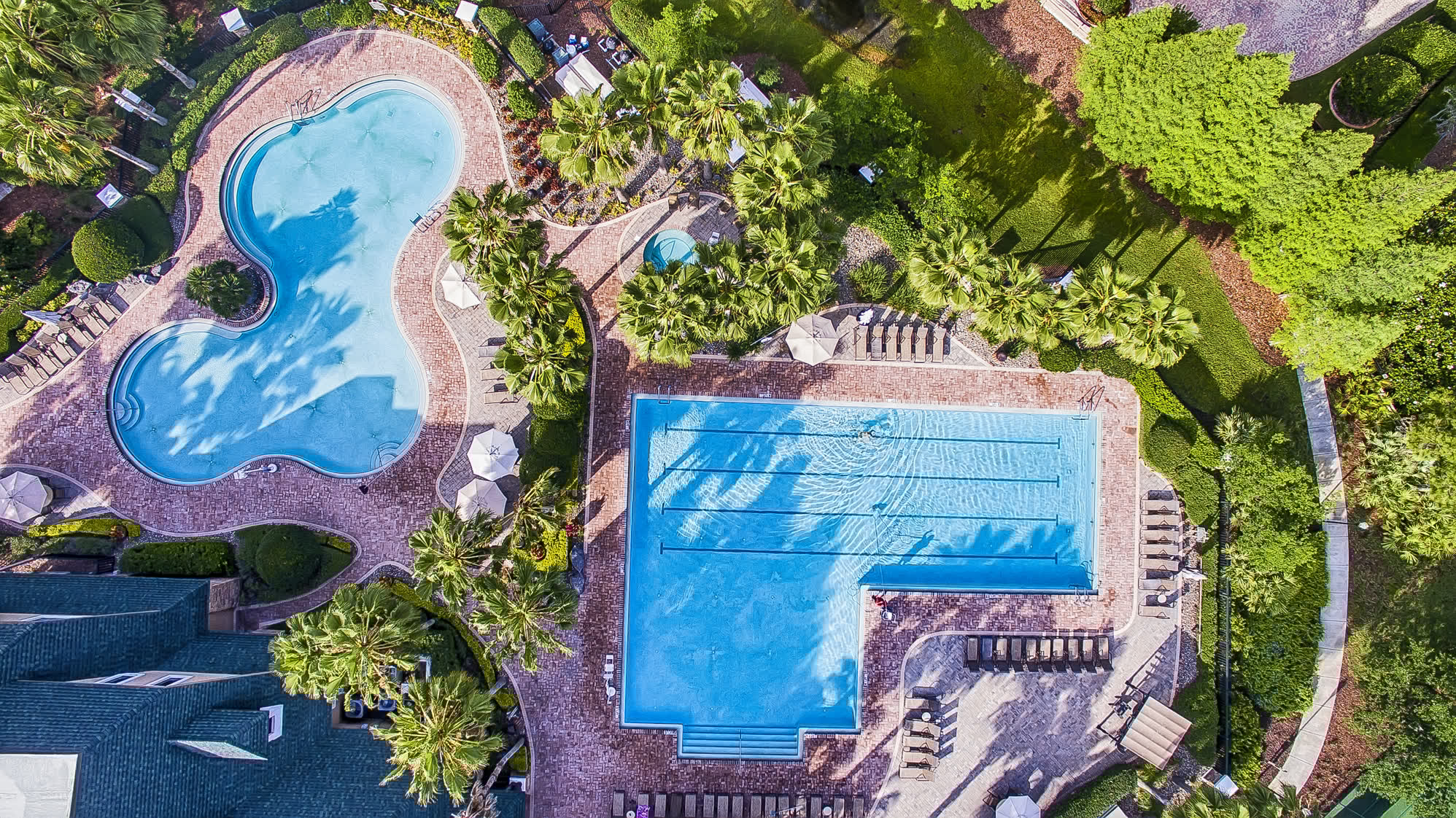 Land O Lakes FL Where to live, eat & play