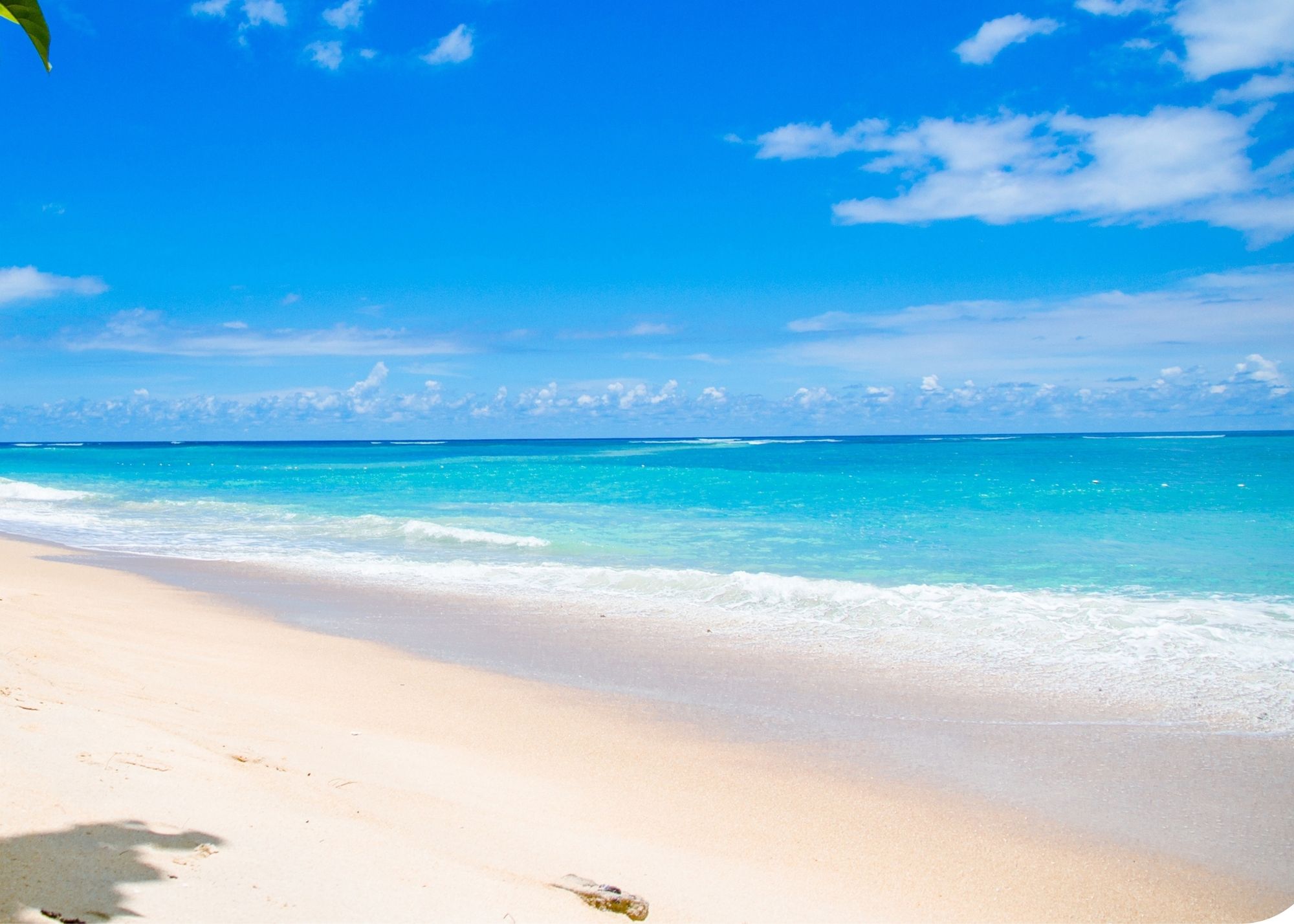 Moving to Land O Lakes