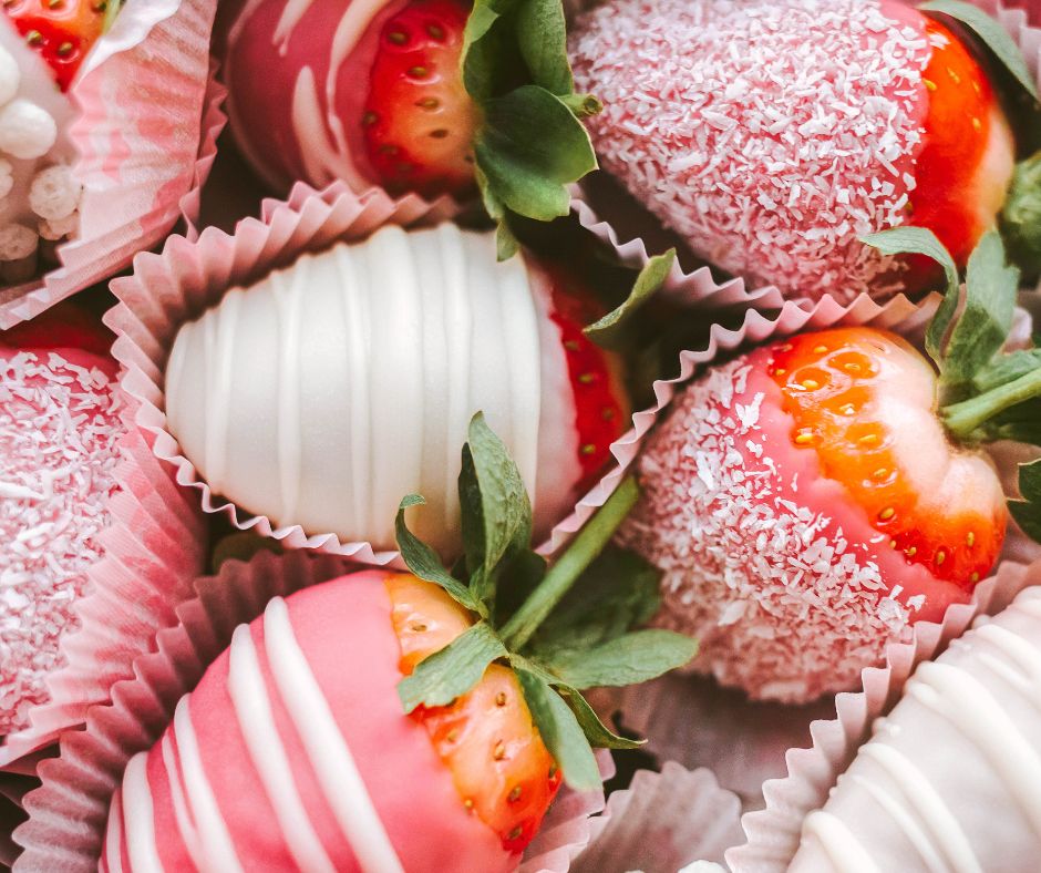 February things to do in Tampa Bay