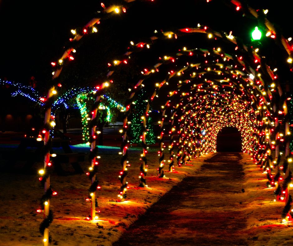 Holiday fun in Tampa Bay