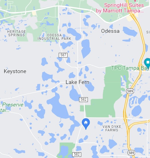 Odessa, FL Where to Live, Play & Eat
