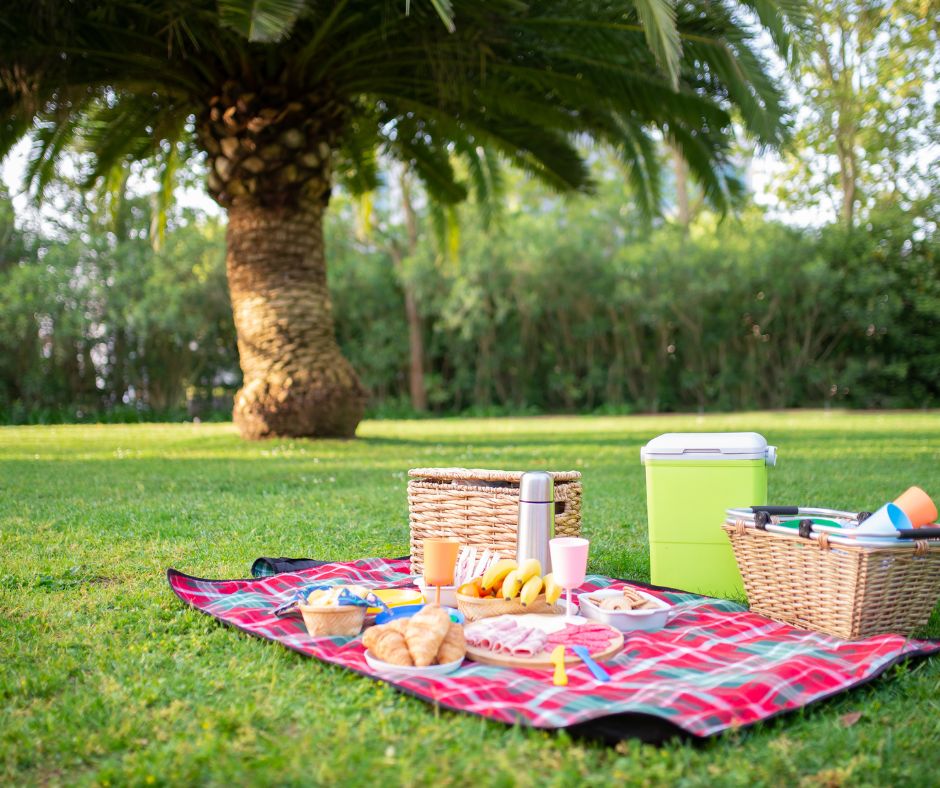 Our favorite picnic spots in Tampa Bay
