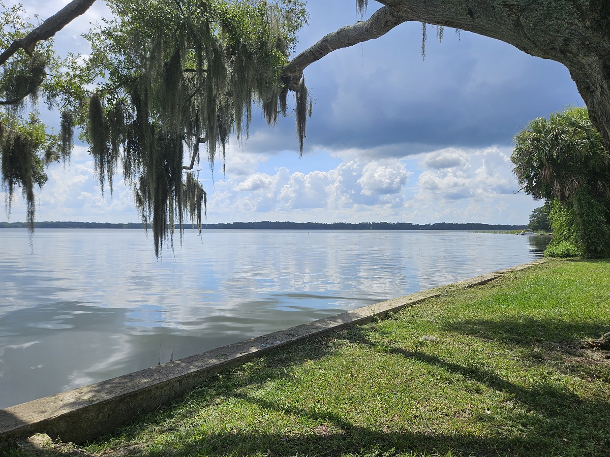 Our favorite picnic spots in Tampa Bay