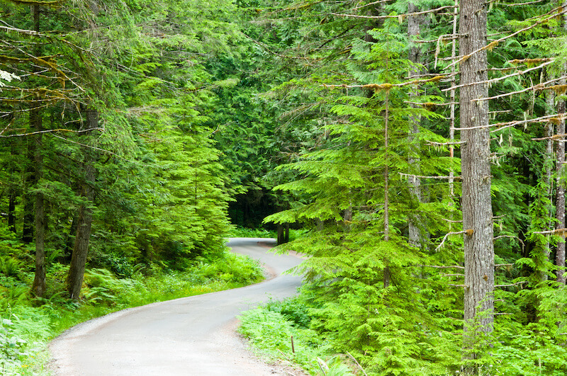 Lake Oswego Hiking Trails 6 Places For Walking & Jogging