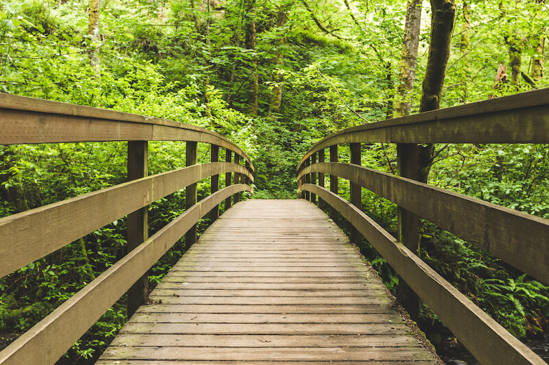 Lake Oswego Hiking Trails 6 Places For Walking & Jogging