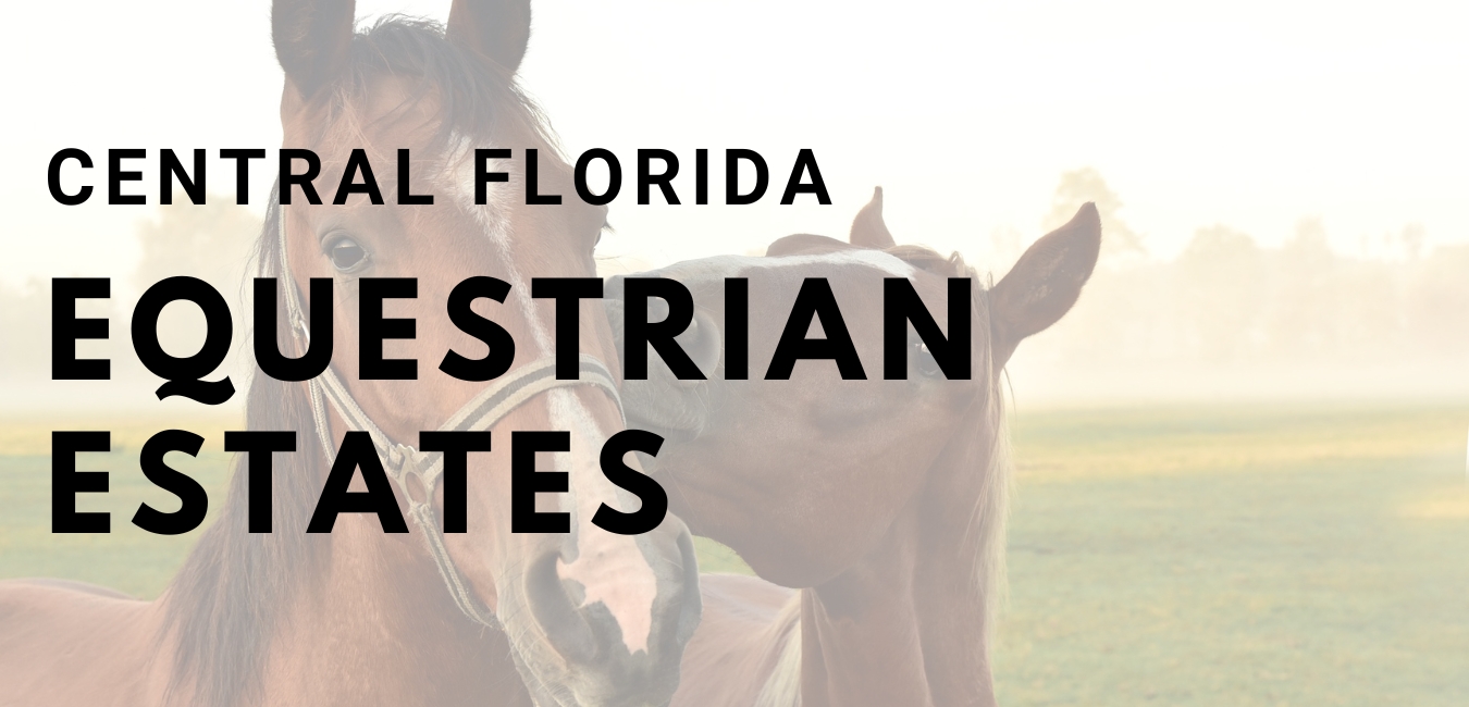 Central Florida Equestrian Homes for Sale The Stones Real Estate Firm