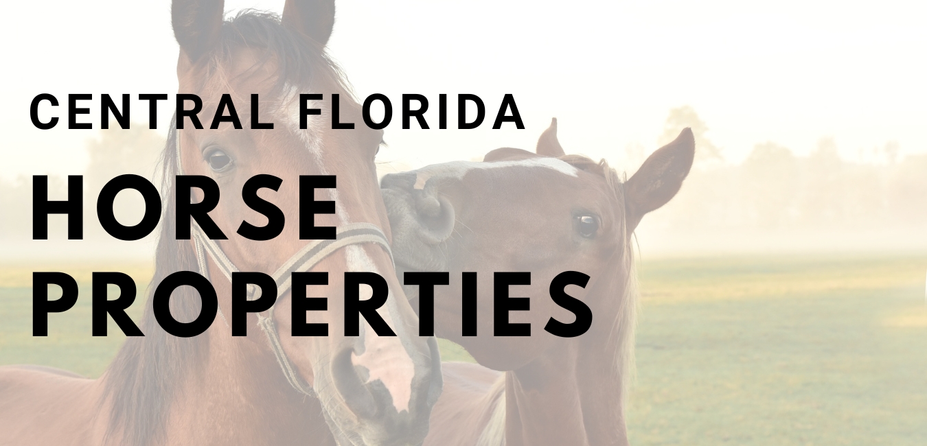 Discover Central Florida Horse Properties For Sale The Stones Real