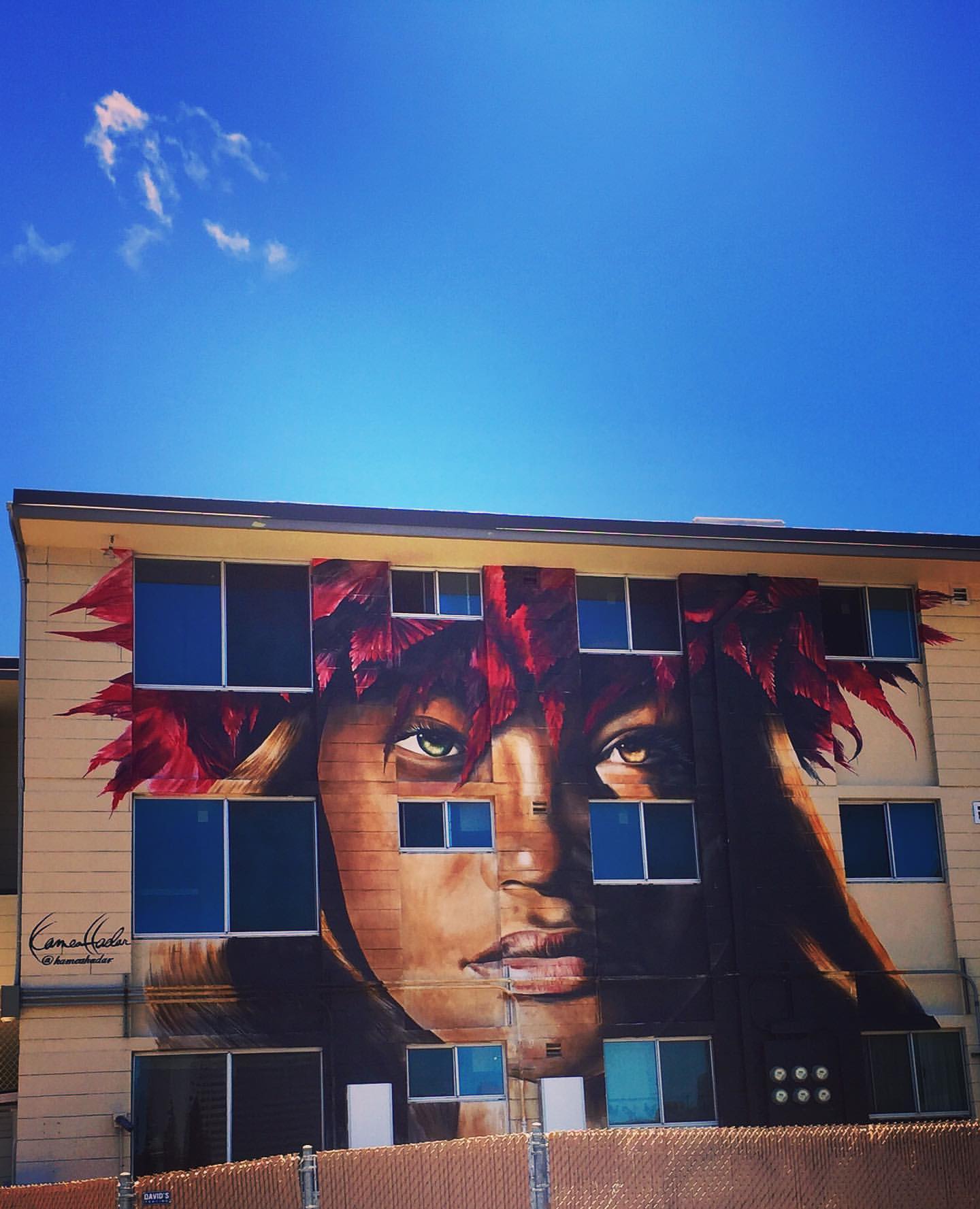 The Ultimate Guide to Kakaako