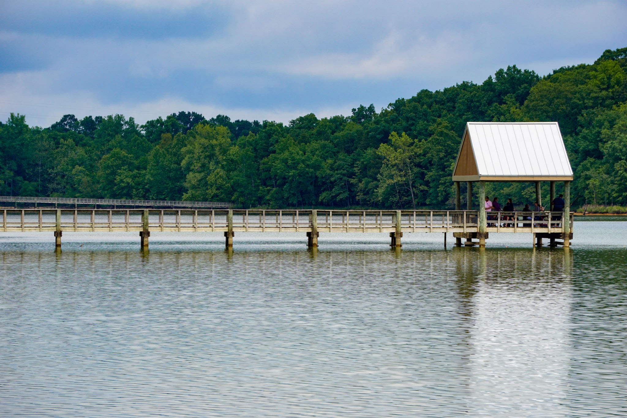 Nashville Real Estate Homes for Sale in Seven Hills