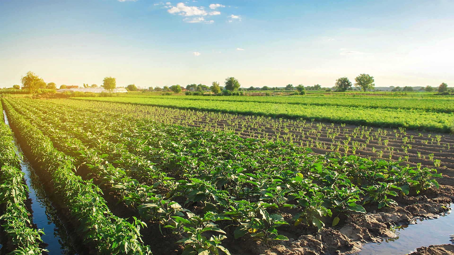 Bethpage TN Homes for Sale