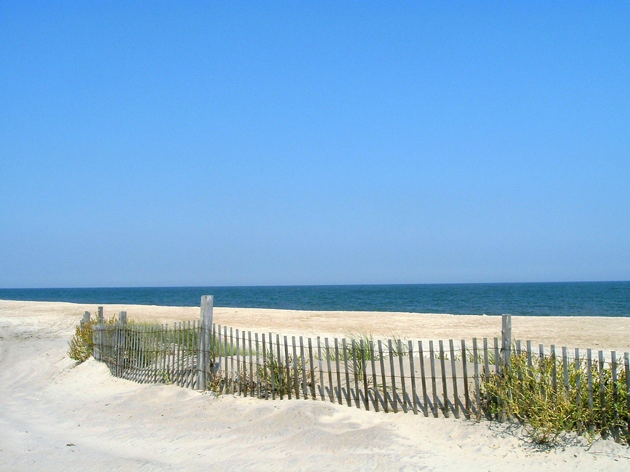 Top Southern Delaware Homes for Sale Southern Delaware Real Estate