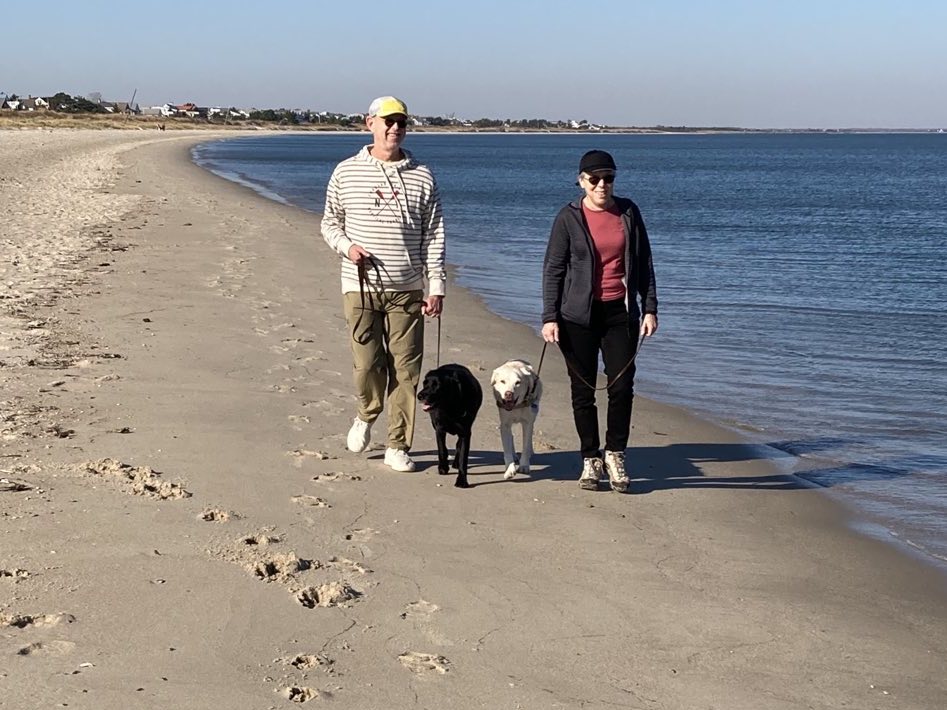 Top 5 BEST Places to Live in Lewes Neighborhoods Where to Live in Lewes