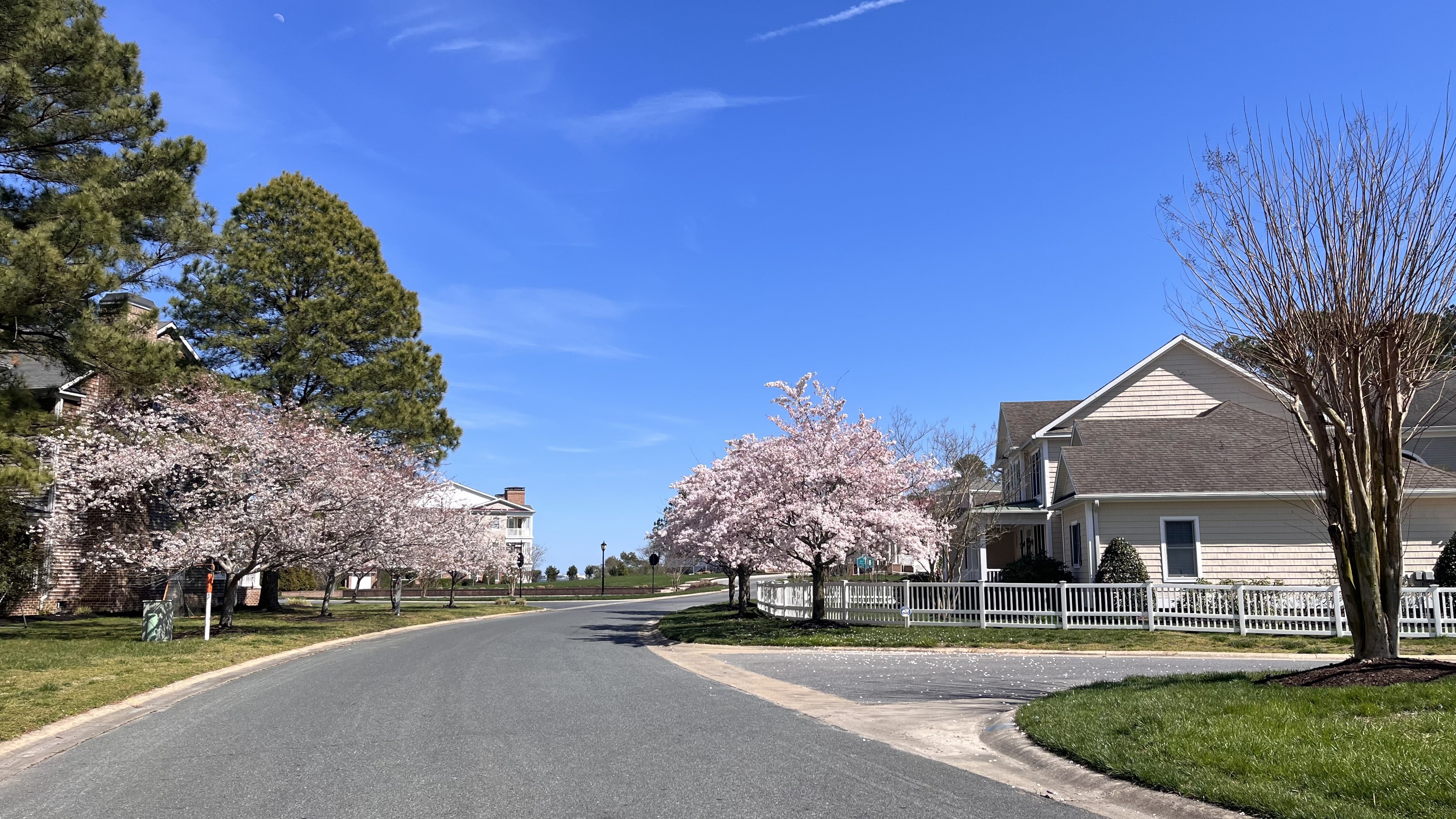 The Point Homes For Sale & Ocean Pine Real Estate