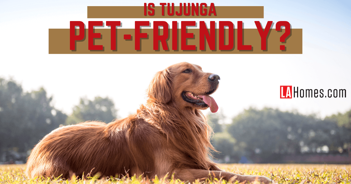 PetFriendly Tujunga Dog Parks & Pet Stores in Tujunga