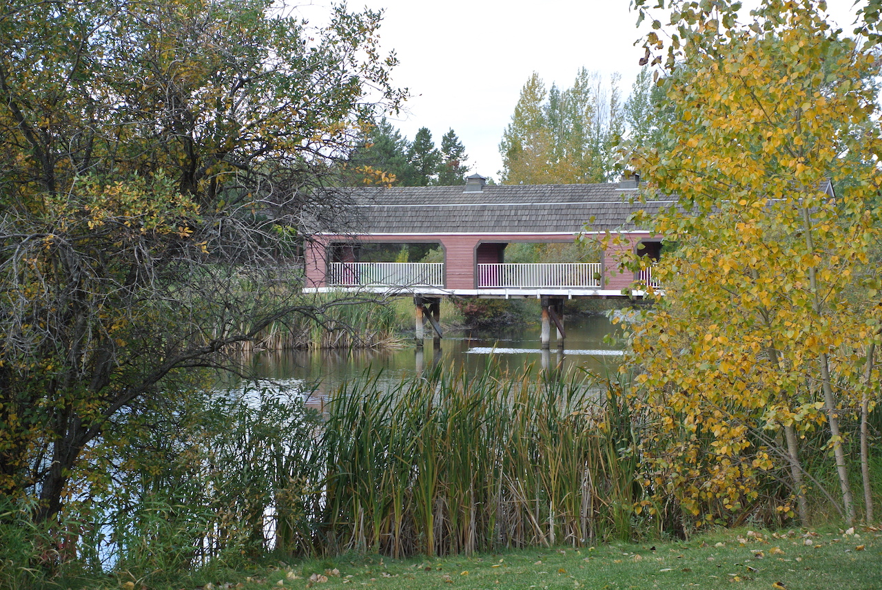 Woodbridge Farms Real Estate Homes for Sale in