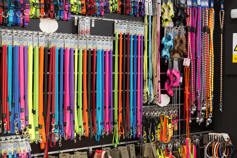 Bellevue Dogs PetFriendly Activities & Dog Parks in Bellevue