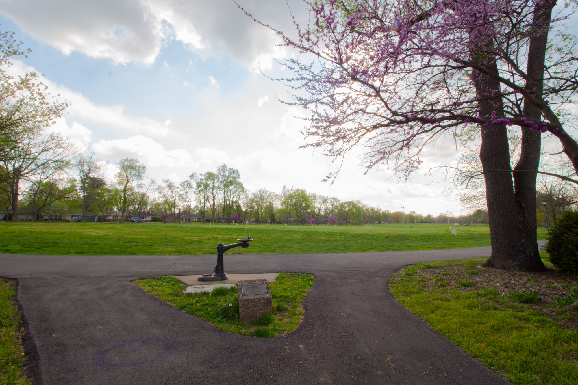 Take a Walk w/ Us Through St. Matthews!