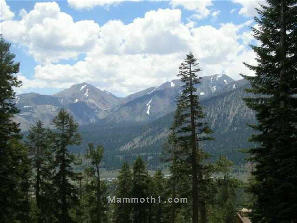 Timber Ridge Condos For Sale in Mammoth Lakes SkiIn/SkiOut Mammoth