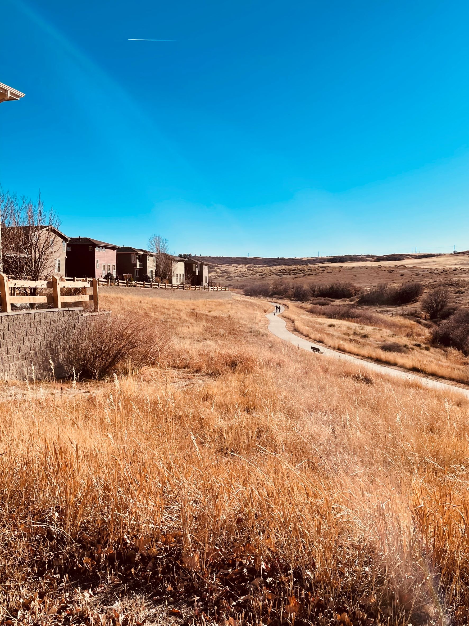 The Hearth Homes For Sale Highlands Ranch, Colorado Real Estate 303