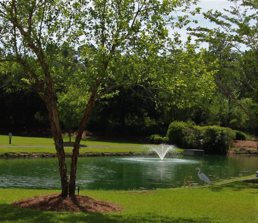The Cottages on Farrow Parkway