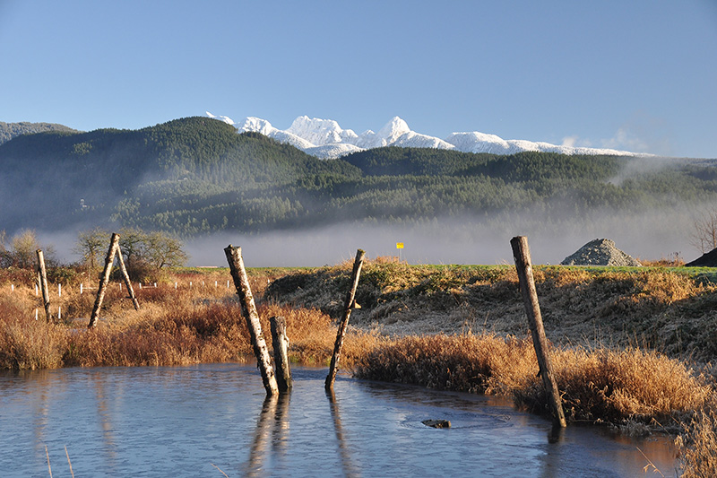 The Pros & Cons of Moving to a City Like Pitt Meadows