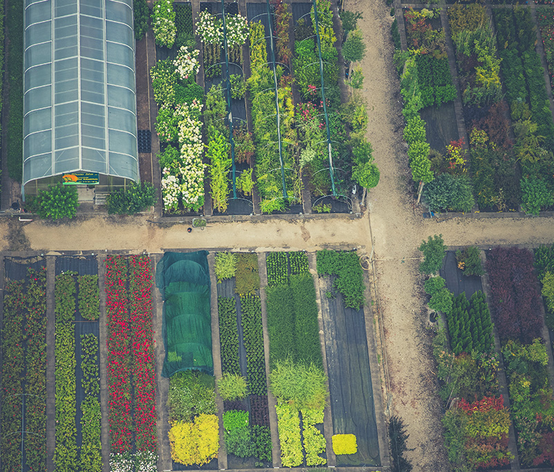 Nurseries on Vancouver Island Central & North Island Loyal Homes