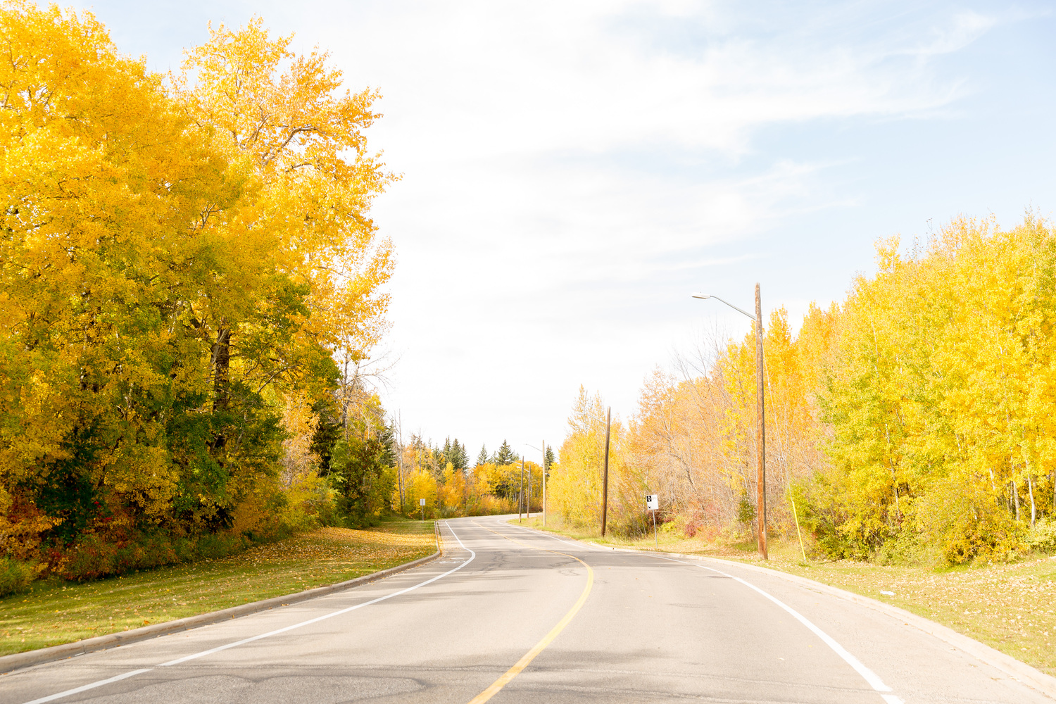 Oriole Park Real Estate Homes for Sale in Oriole Park