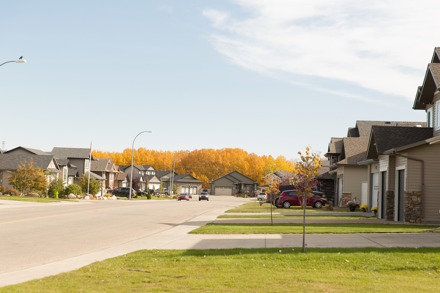 Oriole Park Real Estate Homes for Sale in Oriole Park