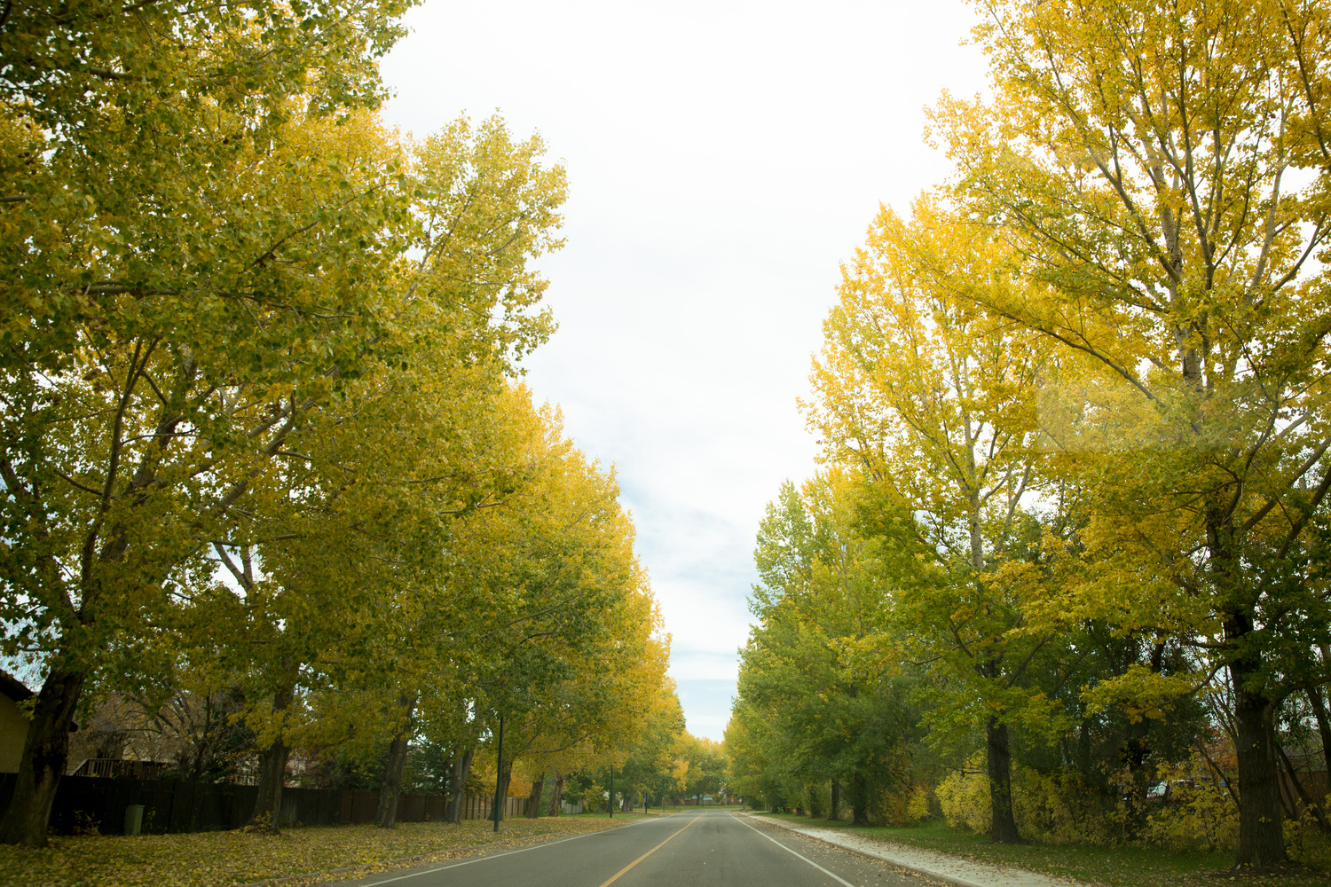 West Park Real Estate Homes for Sale in West Park