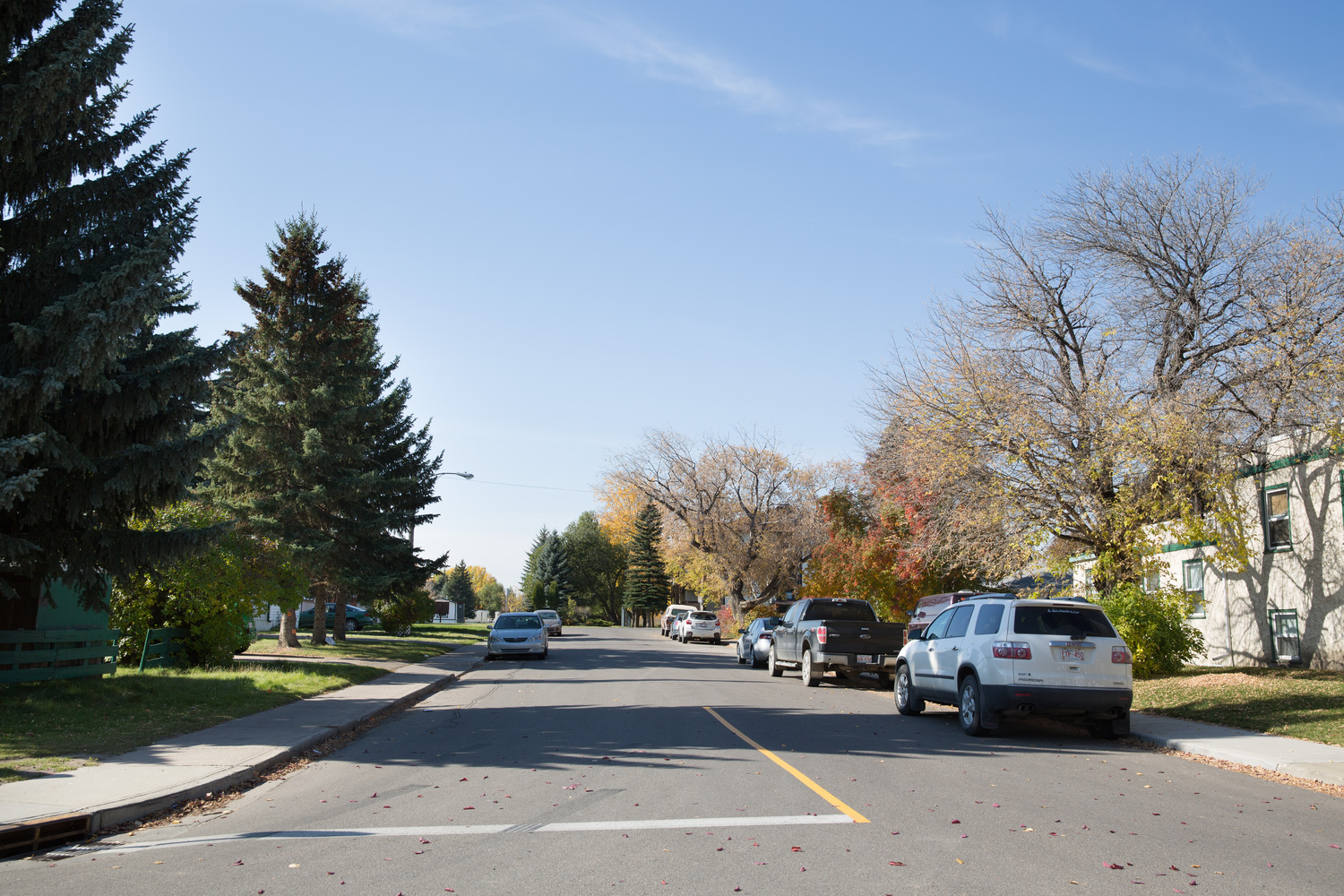 South Hill Real Estate Homes for Sale in South Hill