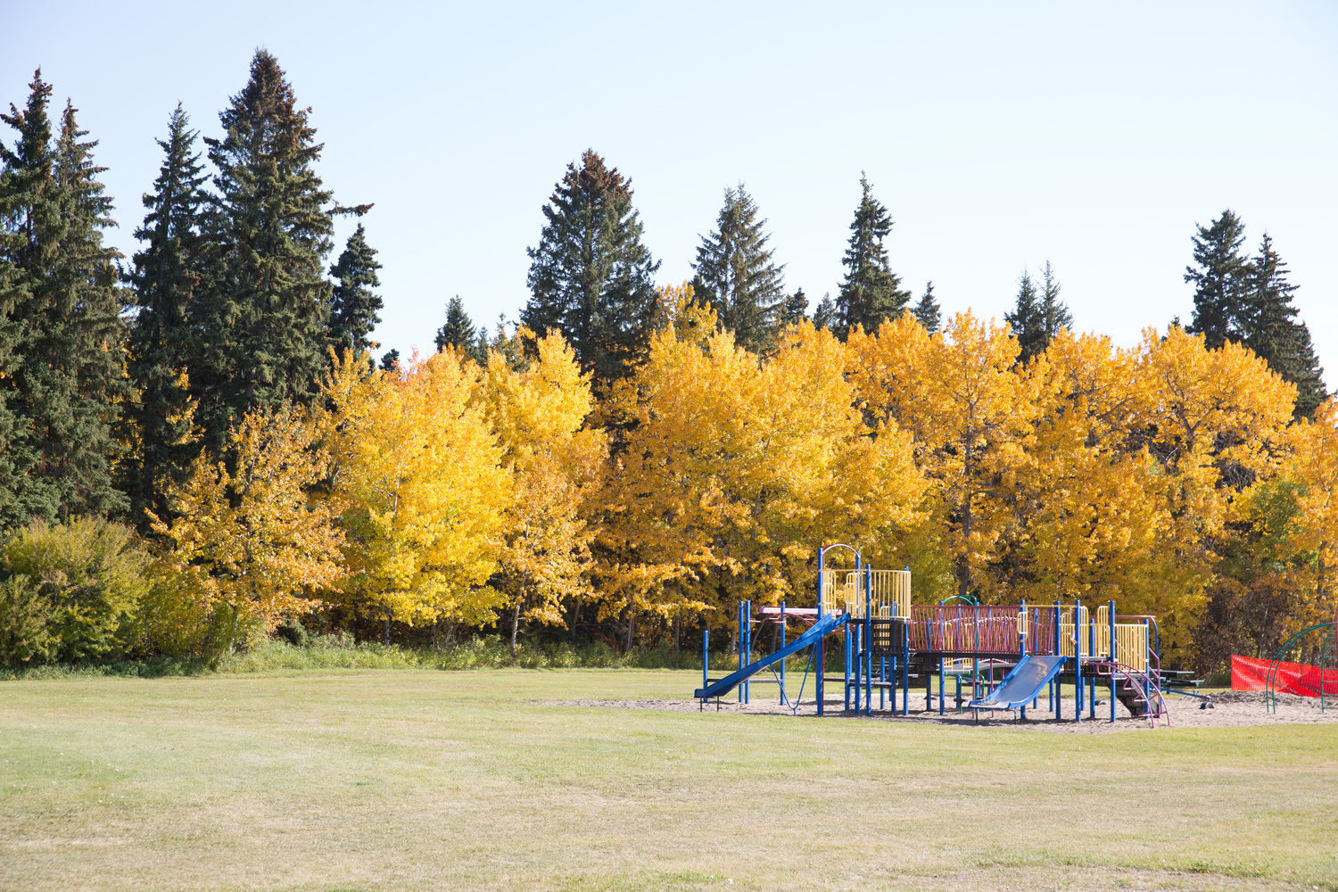 South Hill Real Estate Homes for Sale in South Hill