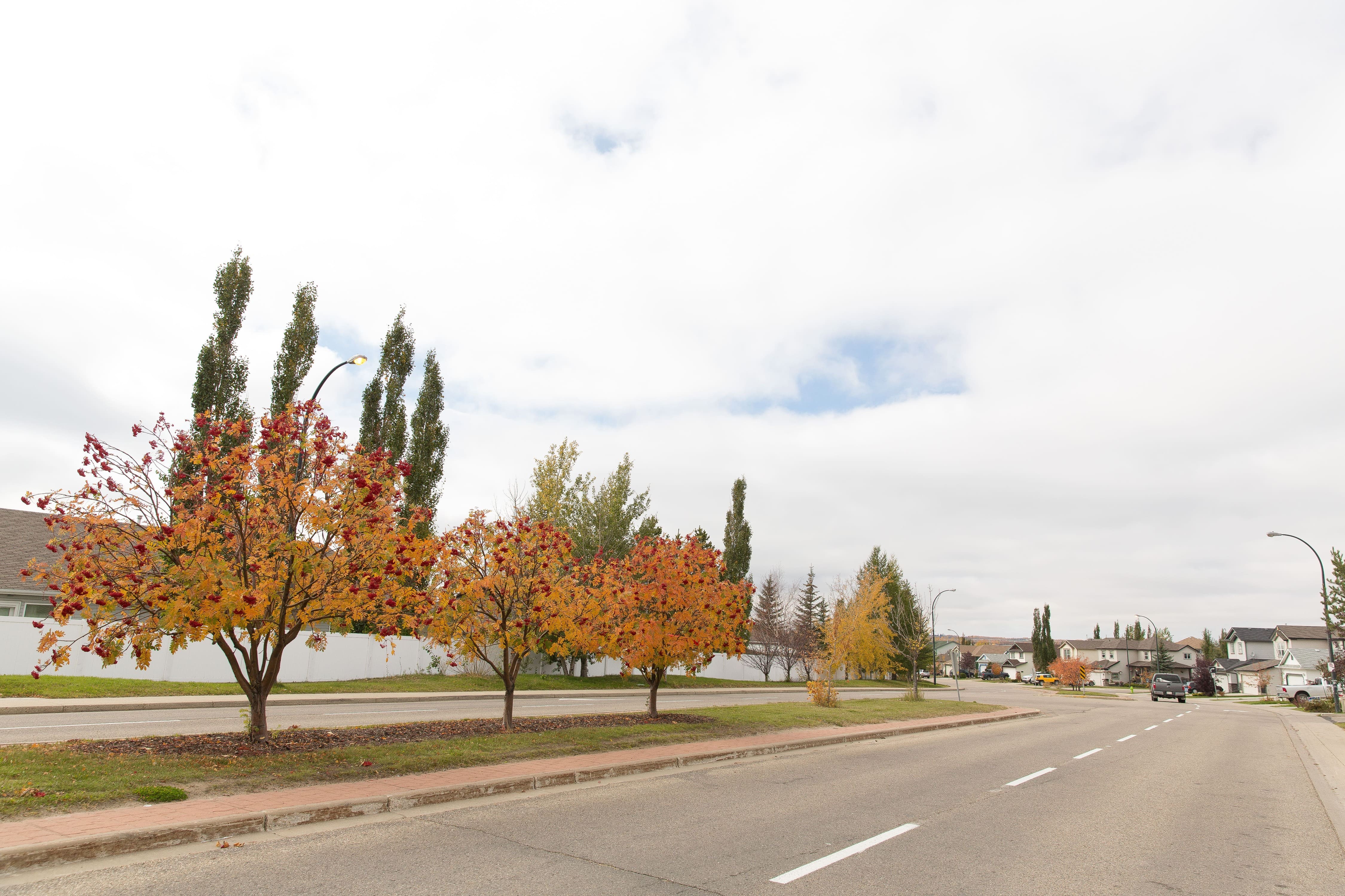 Real Estate Johnstone Scotland at Lourdes Smith blog