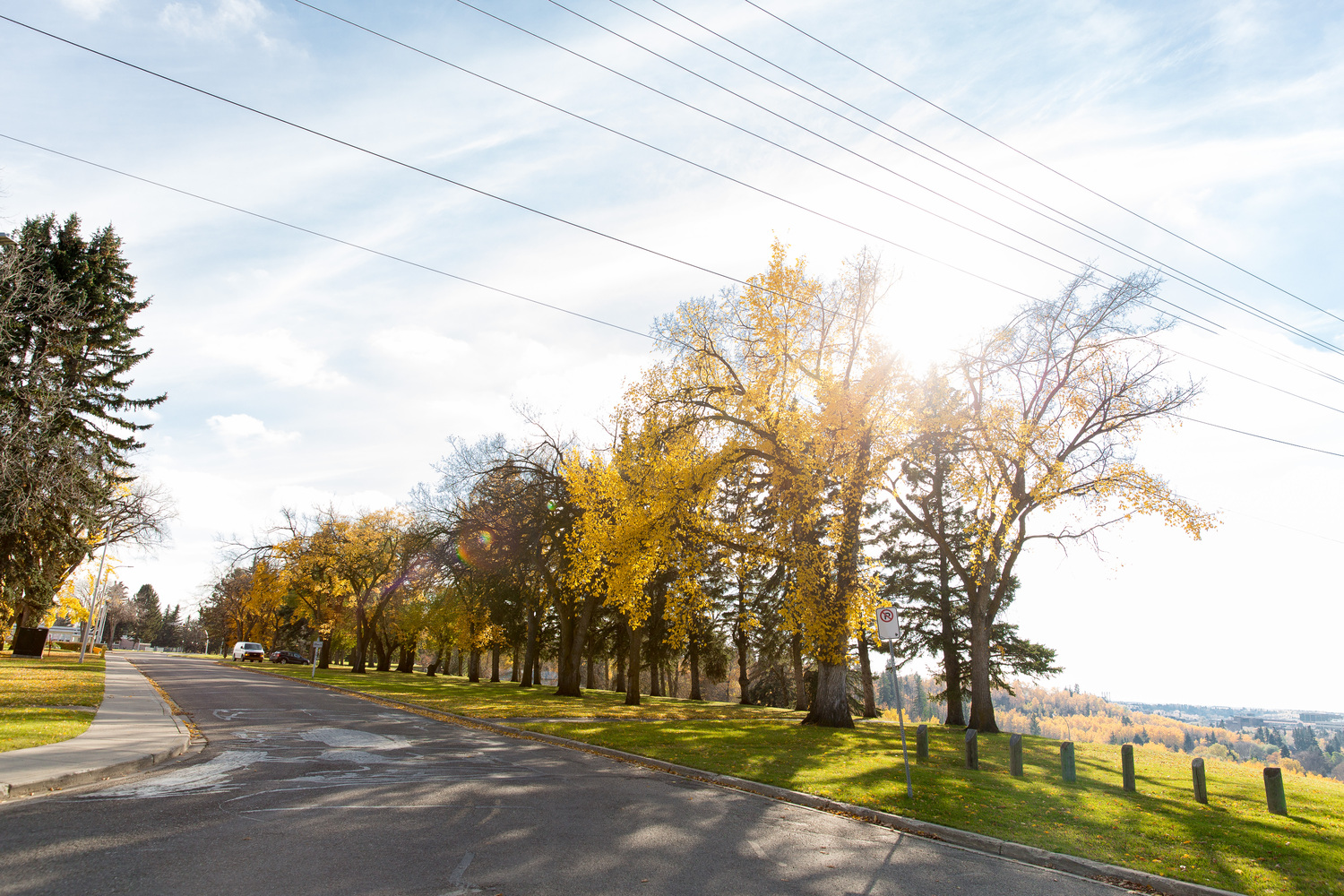 Michener Hill Real Estate Homes for Sale in Michener Hill