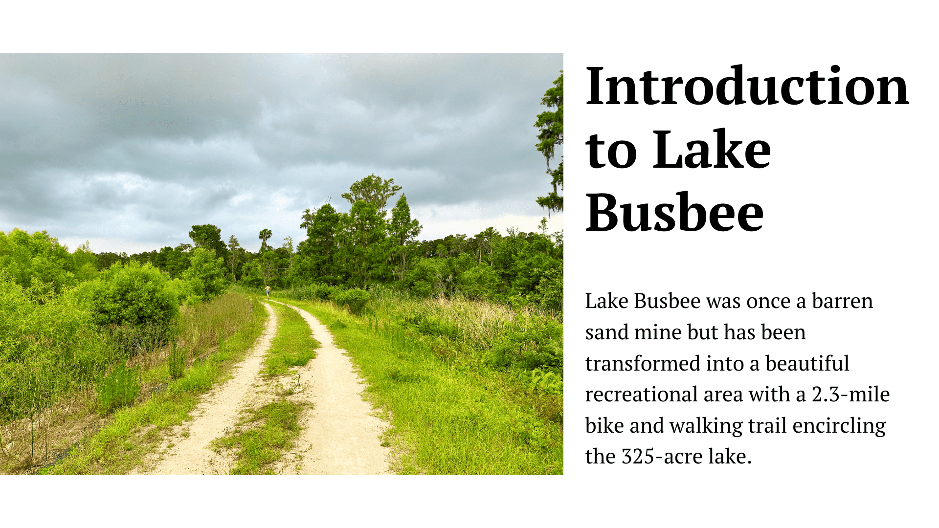 Lake Busbee A Remarkable Tale of Transformation and Nature's