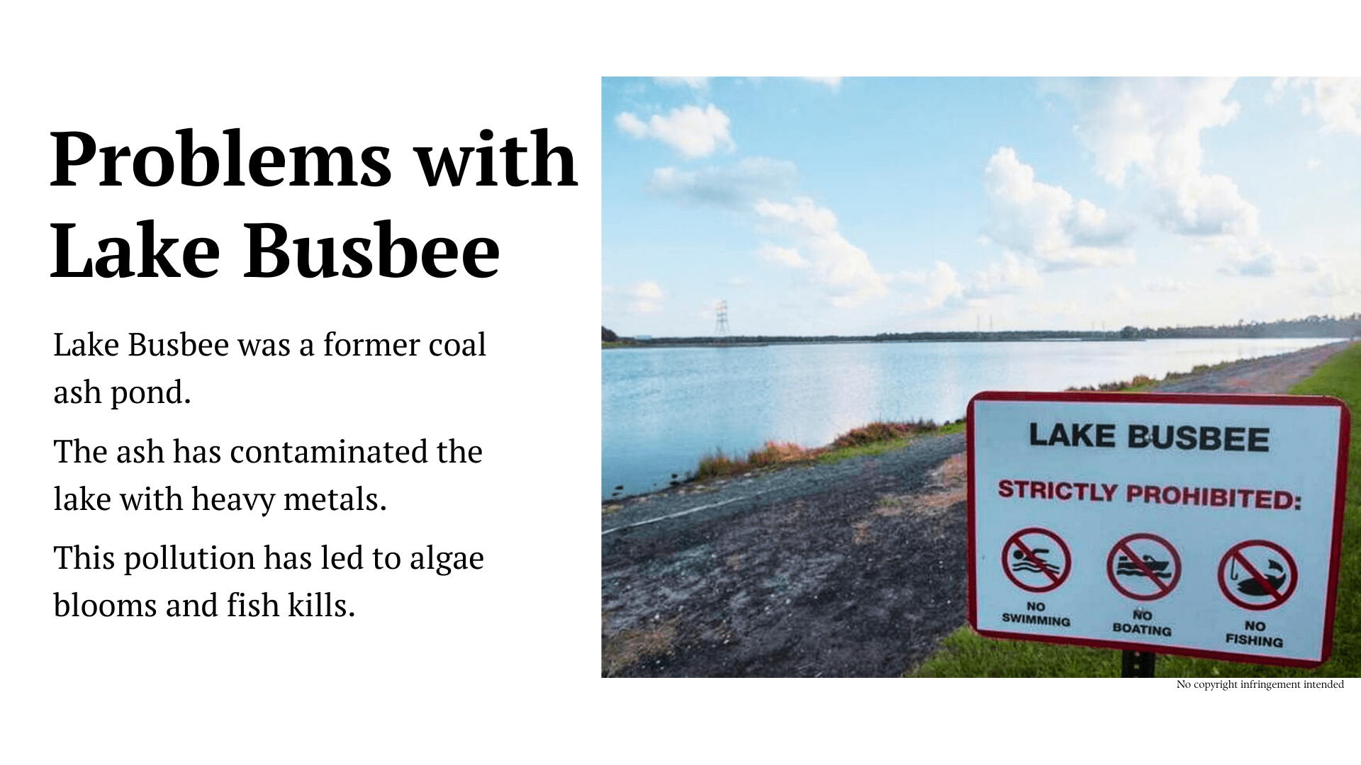 Lake Busbee A Remarkable Tale of Transformation and Nature's