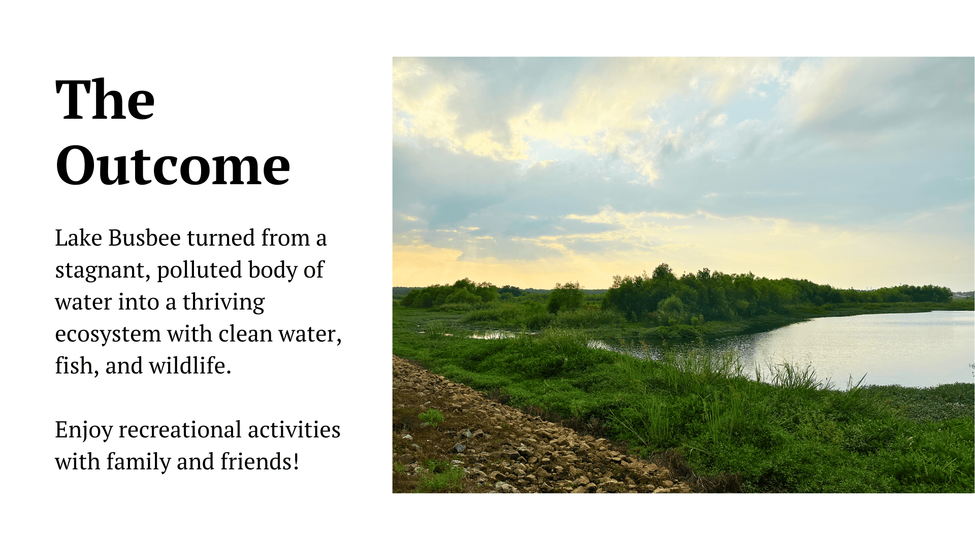 Lake Busbee A Remarkable Tale of Transformation and Nature's